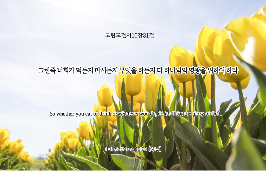 성경읊조리기0414.png